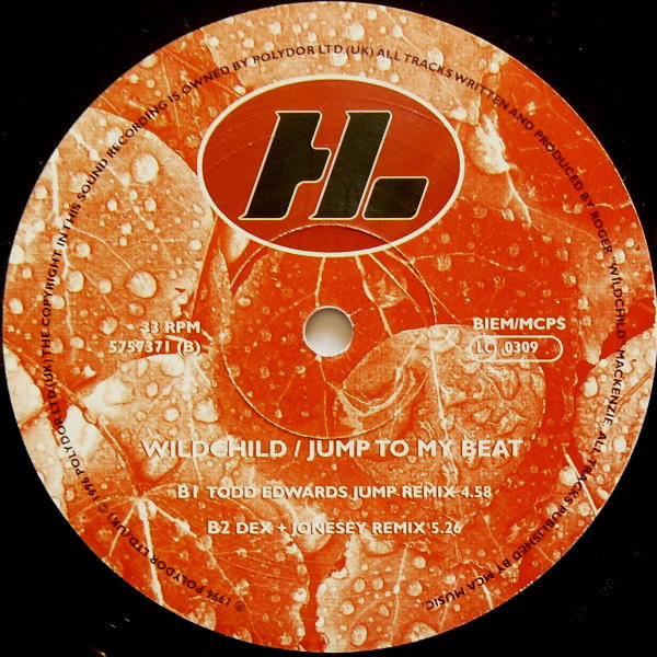 Wildchild — Jump To My Beat (Todd Edwards Jump Remix) (1996)